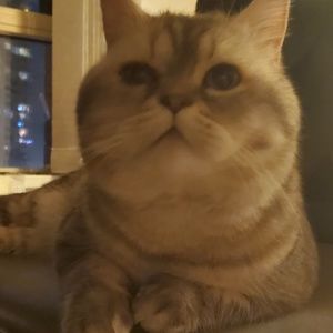 Meet your Posher, May